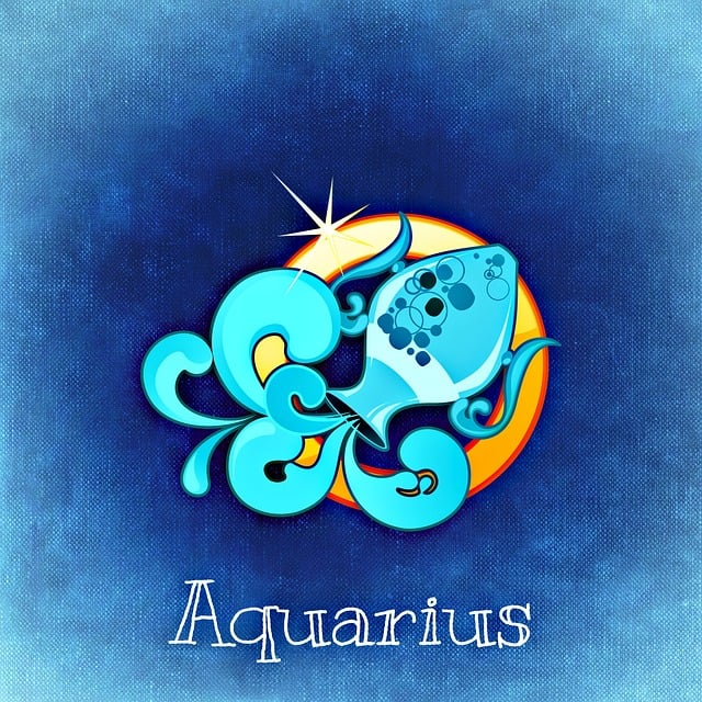 Aquarius symbol in the 7th House context