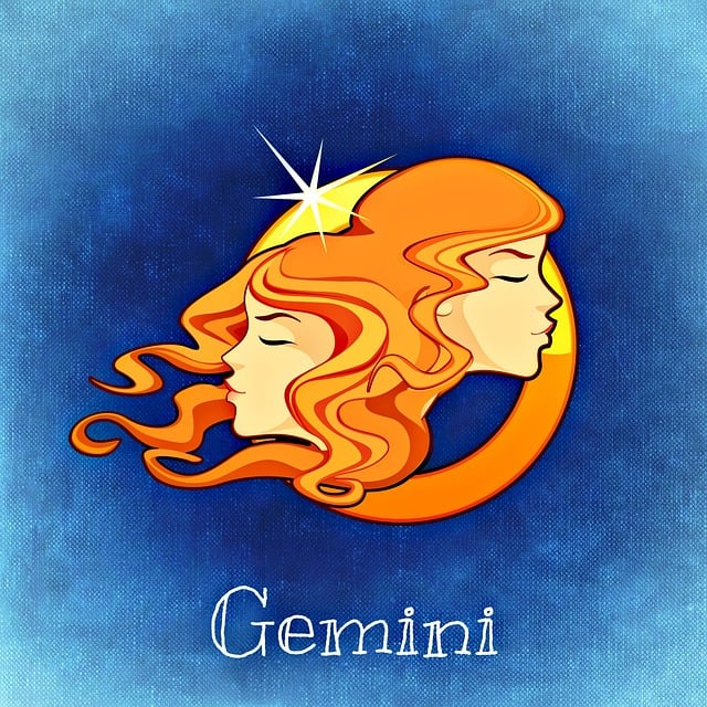 Gemini in 7th House