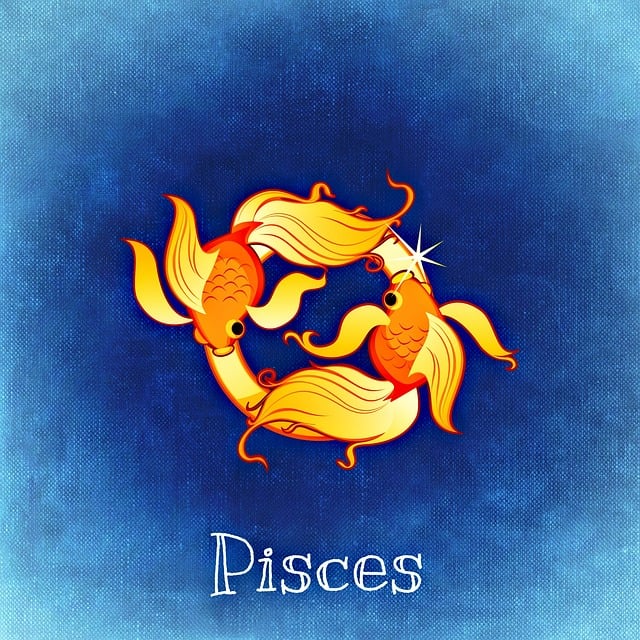 Pisces zodiac sign symbol - two fish