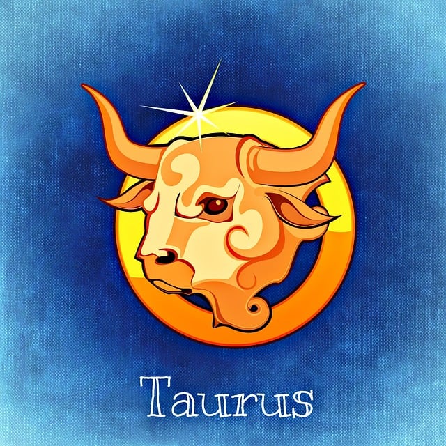 Taurus zodiac sign symbol - the bull